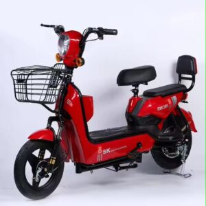 Speed Electric Bike